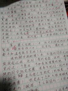 初一作文视频,青春足迹,梦想起航