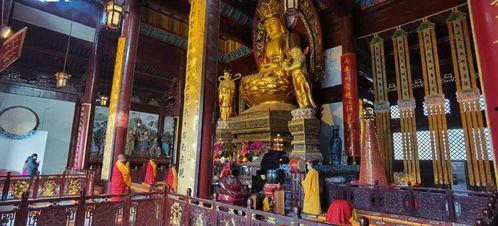 普佛视频,探寻科技与生活的完美融合