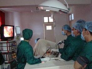 宫腔镜手术视频过程,从术前准备到术后恢复