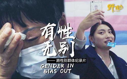 跨性别视频,跨性别视频的多元视角与深刻内涵