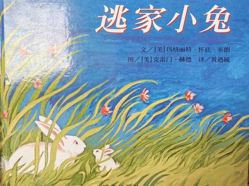 逃家小兔绘本视频,一场温馨的亲子冒险之旅