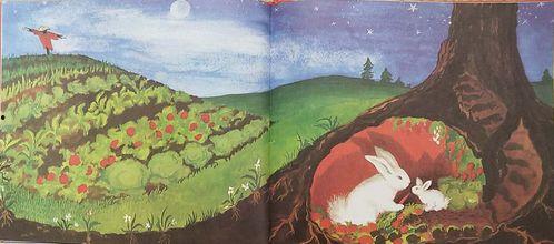 逃家小兔绘本视频,一场温馨的亲子冒险之旅